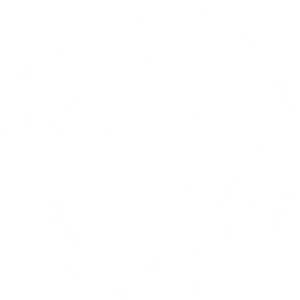 logo-taxi-conv Antibes